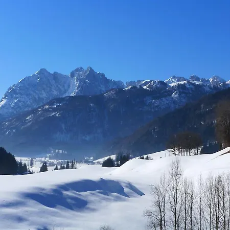 Апартаменты Tiroler Alpenblick